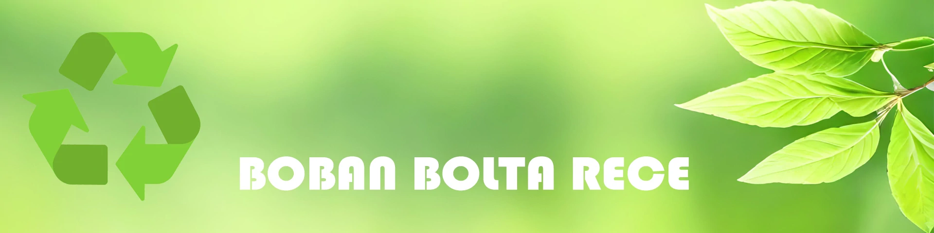 Boban Bolta Rece S.R.L.